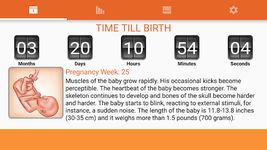 WomanLog Pregnancy Calendar ảnh màn hình apk 1