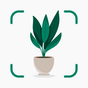 Plantify: Plant Identifier icon