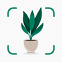 Ikona Plantify: Plant Identifier