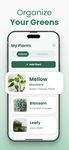 Plantify: Plant Identifier Screenshot APK 10