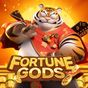 Ícone do apk Fortune Gods Tiger