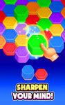 Hexa Sort: Stack Color Puzzle zrzut z ekranu apk 9