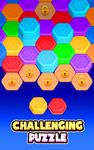 Hexa Sort: Stack Color Puzzle zrzut z ekranu apk 10