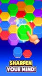 Hexa Sort: Stack Color Puzzle zrzut z ekranu apk 1