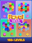 Tangkapan layar apk Royal Hexa: Sortir Puzzle 11