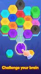 Tangkapan layar apk Royal Hexa: Sortir Puzzle 19