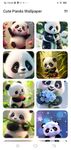 Gambar Cute Panda Wallpaper Elfarraso 