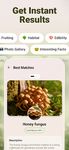 Mushroom ID - Fungi Identifier Screenshot APK 9