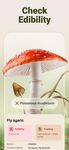 Mushroom ID - Fungi Identifier screenshot APK 10