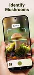 Mushroom ID - Fungi Identifier captura de pantalla apk 