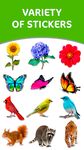 Imagen 10 de Naturaleza Marcos y Stickers