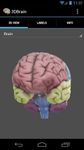3D Brain ekran görüntüsü APK 2