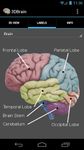 3D Brain ekran görüntüsü APK 