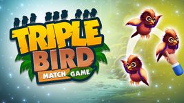 Triple Bird Match Puzzle Game capture d'écran apk 11