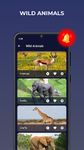 Tangkapan layar apk Animal ringtones-Animal sounds 4