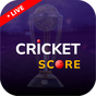 2024 IPL Live Cricket Score APK