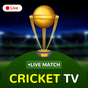 Εικονίδιο του Live Cricket TV Match 2024 apk