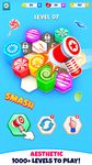 Captura de tela do apk Hexa Color Sort: Sorting Games 9