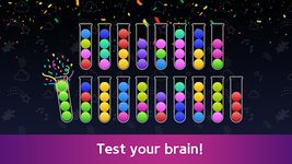 Sort Puzzle Brain Test screenshot APK 1