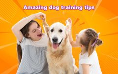 Captură de ecran Dog, Cat Translator - Pet Talk apk 15