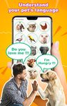 Screenshot 16 di Dog, Cat Translator - Pet Talk apk