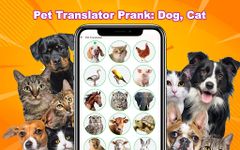 Captură de ecran Dog, Cat Translator - Pet Talk apk 22