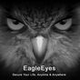 Иконка EagleEyes(Lite)