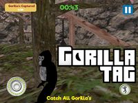 GORILLA TAG image 14