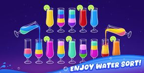 Water Sort Screenshot APK 12