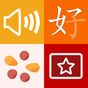 Icona Chinese Dictionary+Flashcards