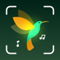 BirdID - Sound Bird Identifier icon