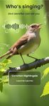 BirdID - Sound Bird Identifier screenshot APK 10