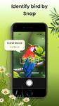 Captura de tela do apk BirdID - Sound Bird Identifier 16