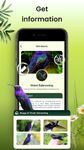 Captura de tela do apk BirdID - Sound Bird Identifier 19