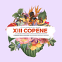 Biểu tượng XIII COPENE