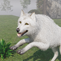 Icône de jeux de loups simulate de loup