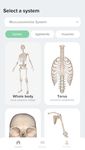 ภาพหน้าจอที่  ของ HUMIO Anatomy Atlas