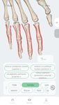 ภาพหน้าจอที่ 2 ของ HUMIO Anatomy Atlas