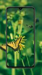 Tangkapan layar apk Butterfly Wallpaper 