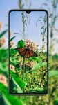 Butterfly Wallpaper captura de pantalla apk 2