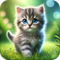 Icône de Cute Cats & Kittens Wallpapers