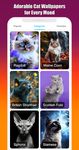 Cute Cats & Kittens Wallpapers στιγμιότυπο apk 2