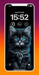 Cute Cats & Kittens Wallpapers capture d'écran apk 3