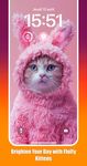 Cute Cats & Kittens Wallpapers capture d'écran apk 6