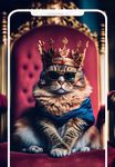 Tangkapan layar apk Cute Cats & Kittens Wallpapers 8