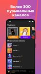 Online Radio 101.ru screenshot APK 1