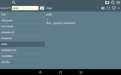 Captura de tela do apk Dicionário Inglês-Português Fr 3
