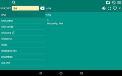 Captura de tela do apk Dicionário Inglês-Português Fr 13