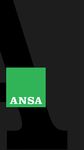 Ansa Mobile image 1