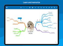 SimpleMind Pro - Intuitive Mind Mapping capture d'écran apk 5